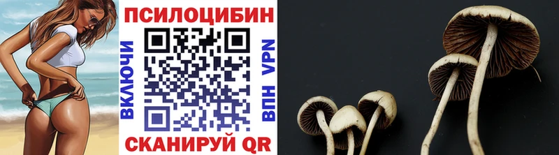 Псилоцибиновые грибы Cubensis  Удомля 